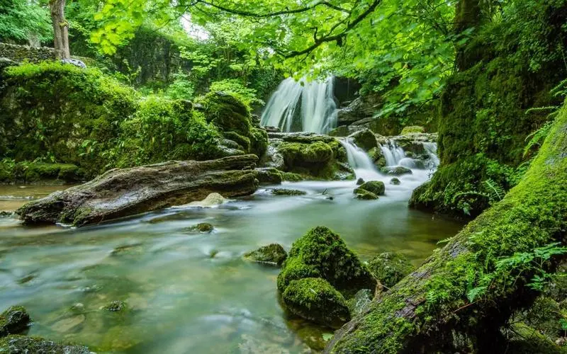 智能系统独特高效